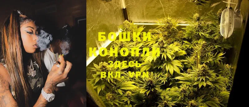 Бошки Шишки THC 21%  Белозерск 